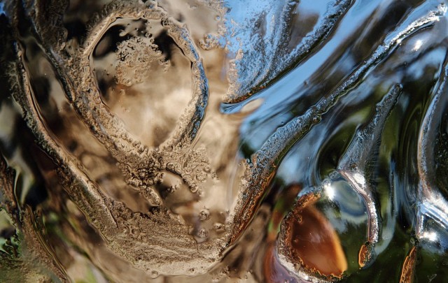 עץ החיים | יצירות מאירות קהילה זוכרת כפר סבא | צילום אמנותי | סמדר ברנע | E20-1402-9928