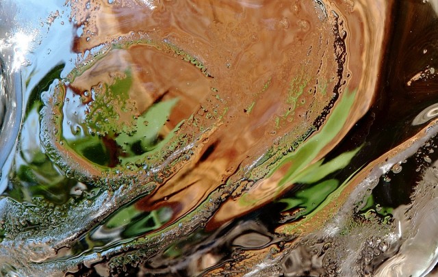 תמונה בגוונים של חום וירוק מסידרת ''עץ החיים'' מפרויקט יצירות מאירות. צילום אמנותי מאת סמדר ברנע. מק''ט E20-1402-9924