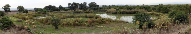 Ein Afek Panorama | photo by Smadar Barnea | E20-1511-06-5932-37 Ein Afek Panorama | photo by Smadar Barnea | E20-1511-06-5932-37